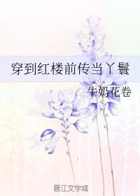 穿越红楼前传当丫鬟快眼