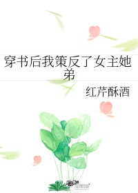 穿书后我策反女主他弟